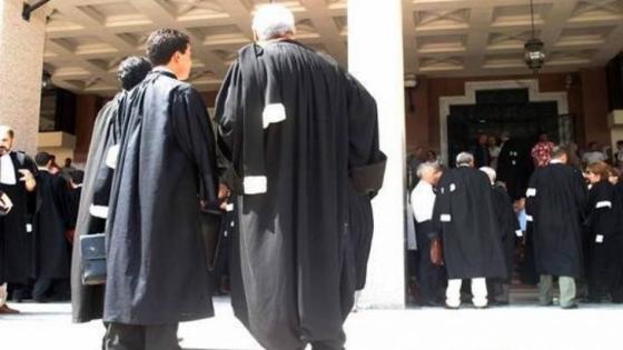 نقابة الموحامين بالمغرب تستنكر قرار فرض جواز التلقيح