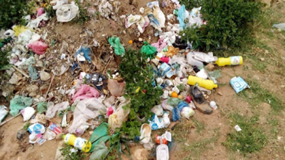 ظاهرة رمي النفايات في محيط الدواوير – منطقة تيوغزة نموذجا-