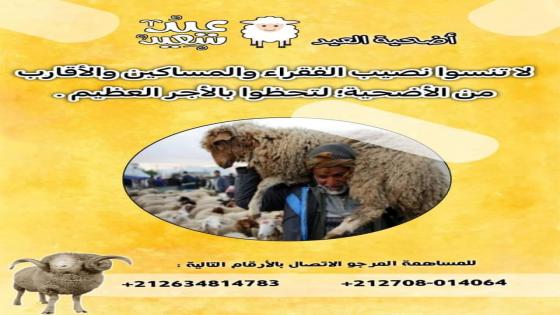 أكادير.. انطلاق حملة جمع التبرعات لشراء أضاحي العيد لفائدة الأسر المعوزة