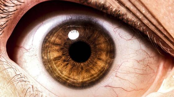 علامات تحذيرية في العين قد تدل على الإصابة بمرض السكري