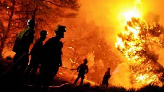 الجزائر: حرائق الغابات شرق البلاد تخلف 26 قتيل