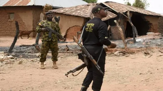 مقتل 48 شخصا في هجمات بنيجيريا