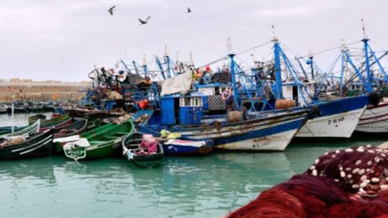 مهنيو الصيد بأكادير يطالبون بتسوية مشاكل البحارة