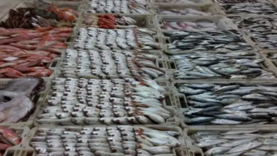 إنطلاق تفعيل مشروع رقمنة المزاد العلني للمنتوجات السمكية باكادير