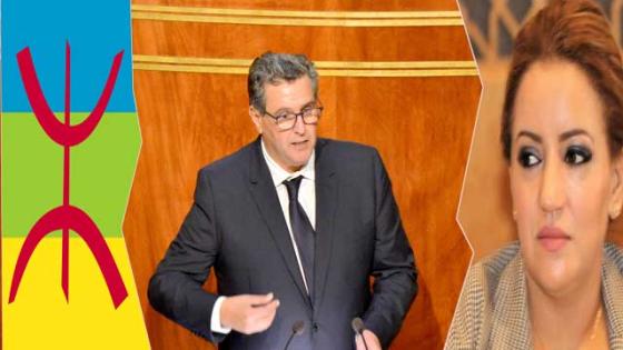 برلمانية عن جهة سوس تقصف أخنوش: توظيفكم السياسوي للأمازيغية غير مقبول