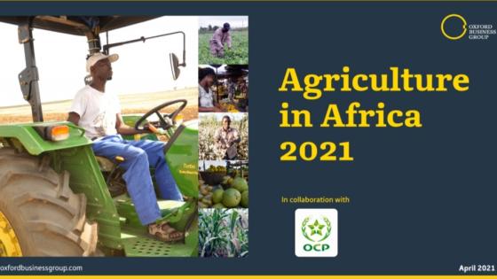 تقرير جديد حول الزراعة في أفريقيا يستكشف آفاق نمو التجارة البينية