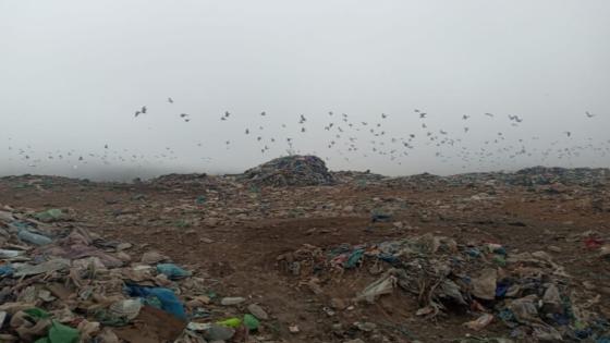 مطرح النفايات الصلبة لمدينة سيدي إفني نقطة سوداء تهدد سلامة المجال البيئي