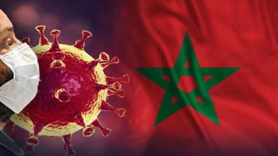 المغرب.. تسجيل9041 إصابة و123 وفاة جديدة بفيروس كورونا في 24 ساعة الأخيرة‎‎‎‎‎‎‎‎