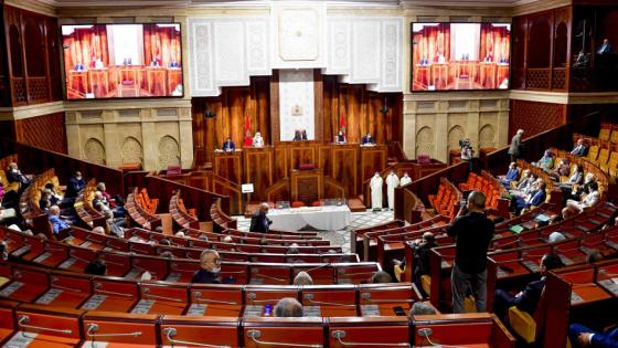 بيان بشأن شروع البرلمان في الترجمة من و إلى الأمازيغية