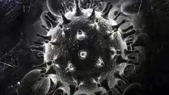 علاقة الفطر الأسود بفيروس ”كورونا” : الصحة العالمية تحسم الجدل