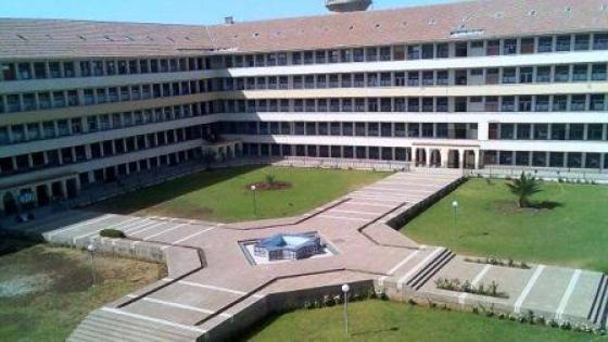 جامعة سيدي محمد بن عبد الله بفاس تحتفي بالمرأة السيكولوجية في ندوة وطنية