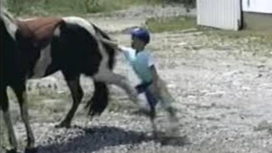 ركلة حصان تنهي حياة طفل ضواحي تارودانت‎